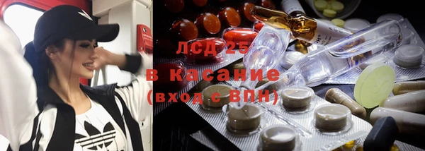 a pvp Тайга
